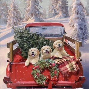 Meet your Posher, Doris